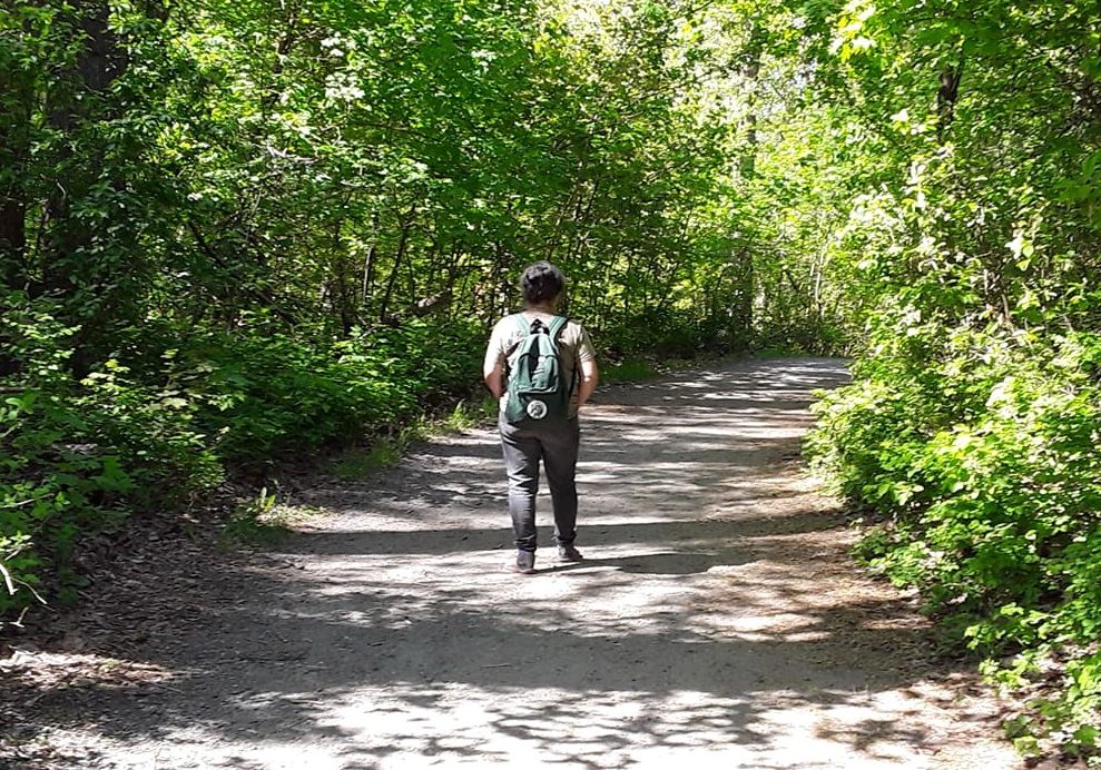 Woman walking alone on a trail in the forest, wearing a green backpack.